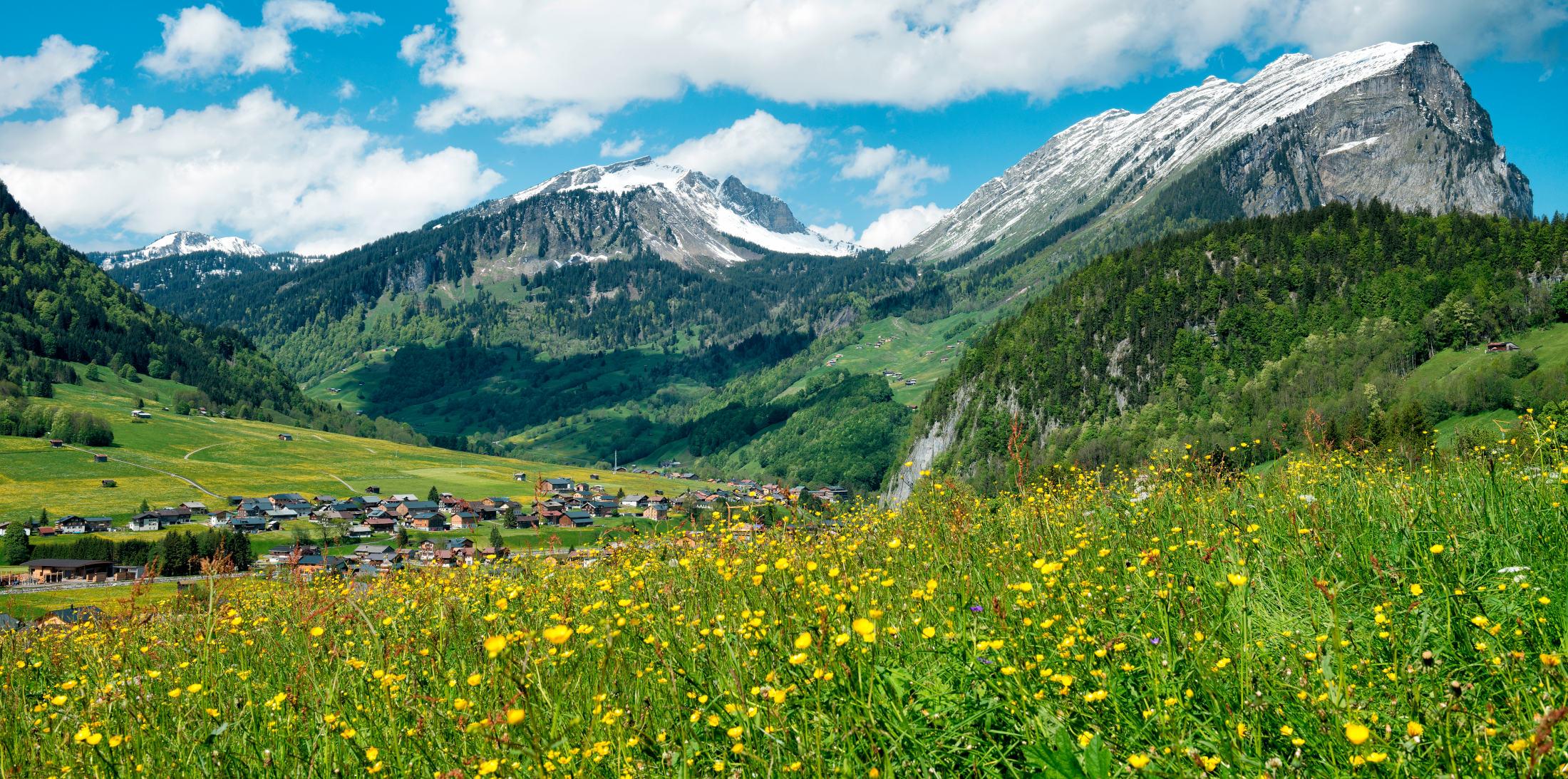 Berg mit Wiese und Dorf