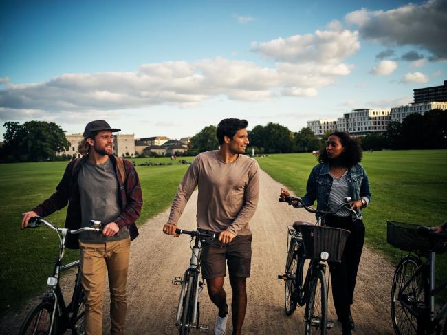 istock_pixdeluxe_917742596 3 Menschen mit Fahrrad im Park